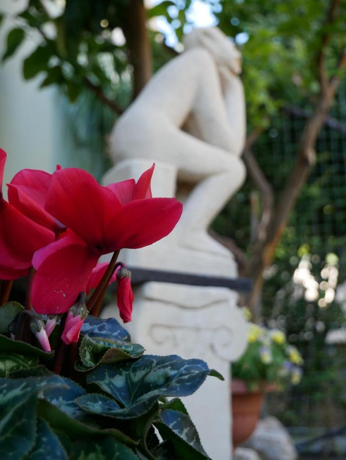 Donna Nicla B&B Matera Bagian luar foto